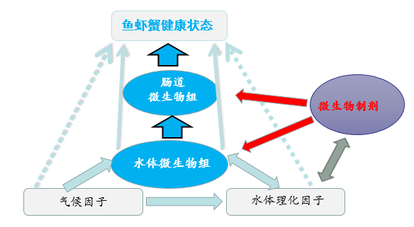 什么产品这么牛 (5).png